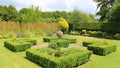 Lawn Hedging