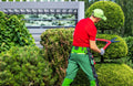 Tree Pruning